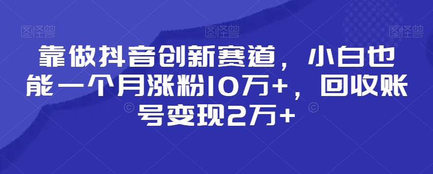 靠做抖音创新赛道，小白也能一个月涨粉10万+，回收账号变现2万+【揭秘】-润泽资源库