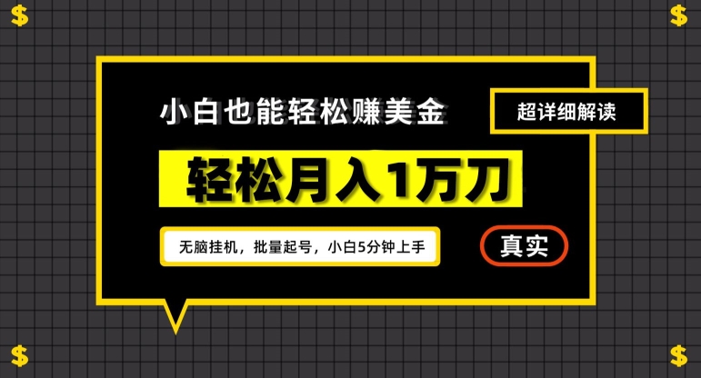 谷歌看广告撸美金2.0，无脑挂机，多号操作，月入1万刀【揭秘】-润泽资源库