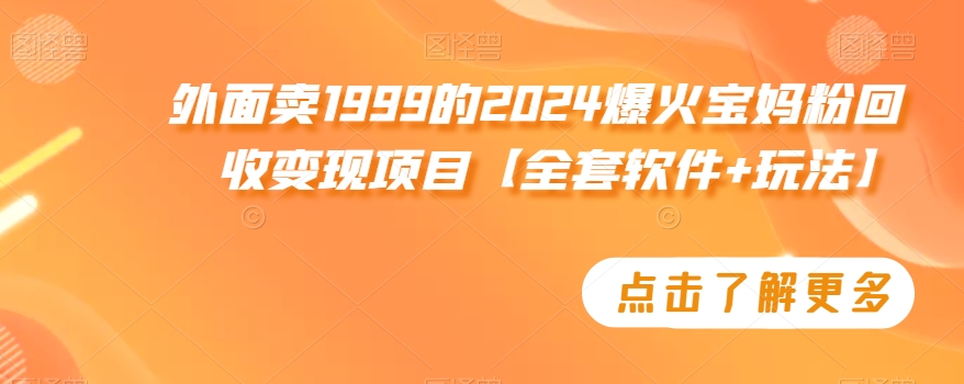 外面卖1999的2024爆火宝妈粉回收变现项目【全套软件+玩法】【揭秘】-润泽资源库