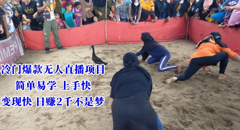 冷门爆款无人直播项目，简单易学上手快，变现快日赚2千不是梦【揭秘】-润泽资源库