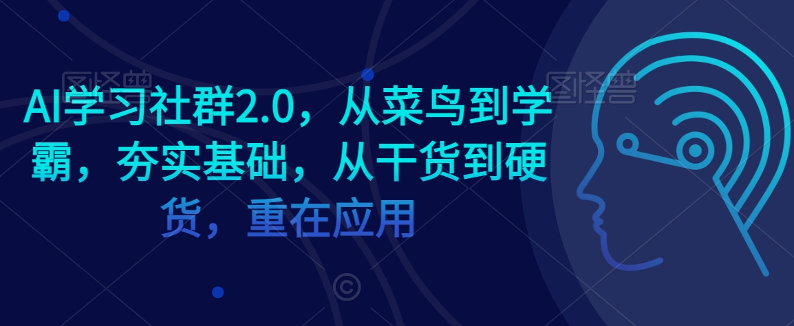 AI学习社群2.0，从菜鸟到学霸，夯实基础，从干货到硬货，重在应用-润泽资源库