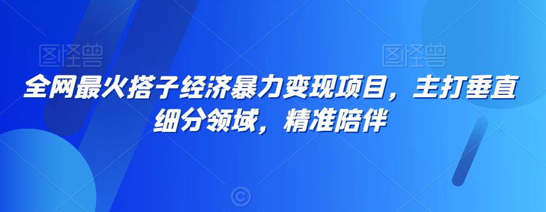 全网最火搭子经济暴力变现项目，主打垂直细分领域，精准陪伴【揭秘】-润泽资源库