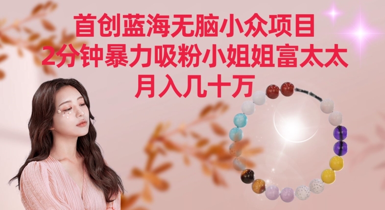 首创蓝海无脑小众项目，2分钟暴力吸粉小姐姐富太太，月入几十万【揭秘】-润泽资源库