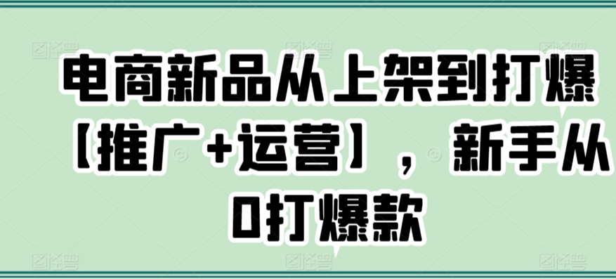 电商新品从上架到打爆【推广+运营】，新手从0打爆款-润泽资源库