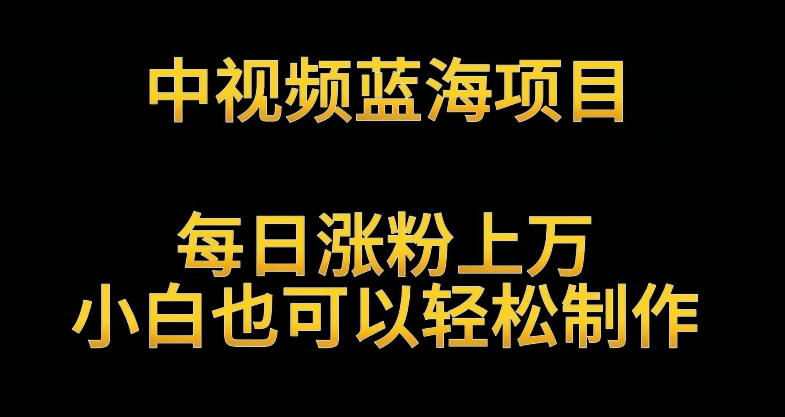 中视频蓝海项目，解读英雄人物生平，每日涨粉上万，小白也可以轻松制作，月入过万不是梦【揭秘】-润泽资源库