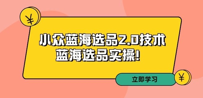 拼多多培训第33期：小众蓝海选品2.0技术-蓝海选品实操！-润泽资源库
