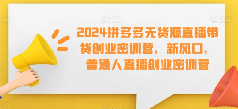 2024拼多多无货源直播带货创业密训营，新风口，普通人直播创业密训营-润泽资源库