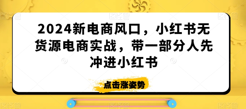 2024新电商风口，小红书无货源电商实战，带一部分人先冲进小红书-润泽资源库