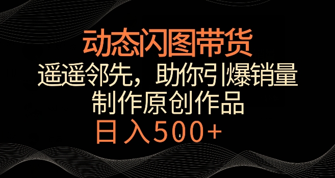 动态闪图带货，遥遥领先，冷门玩法，助你轻松引爆销量，日赚500+【揭秘】-润泽资源库