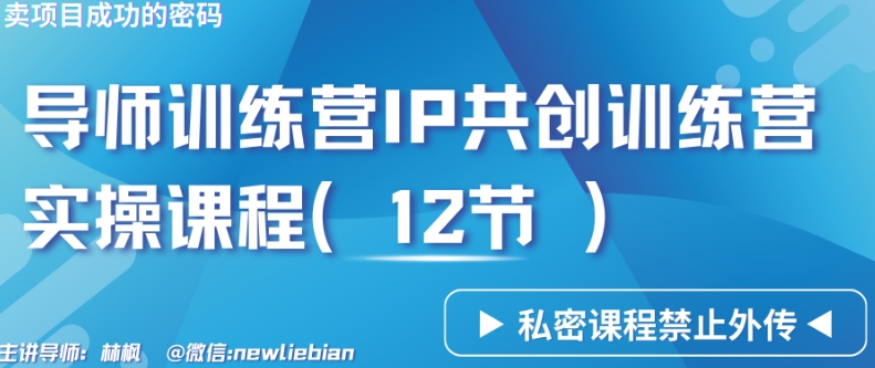 导师训练营3.0IP共创训练营私密实操课程（12节）-卖项目的密码成功秘诀【揭秘】-润泽资源库