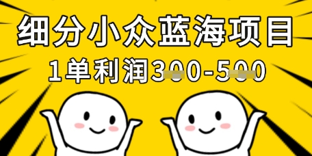 细分小众蓝海项目，一单利润3张，每月收入稳定过1w+-润泽资源库