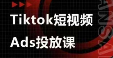 Ads视频投放课，tiktok短视频广告投放课-润泽资源库
