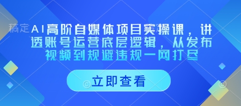 AI高阶自媒体项目实操课，讲透账号运营底层逻辑，从发布视频到规避违规一网打尽-润泽资源库
