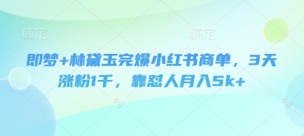 即梦+林黛玉完爆小红书商单，3天涨粉1千，靠怼人月入5k+-润泽资源库