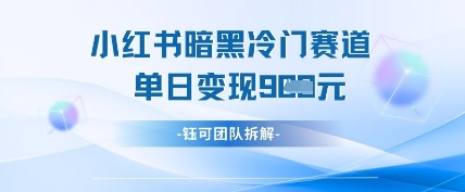 小红书冷门”暗黑”赛道，单日收益多张-润泽资源库