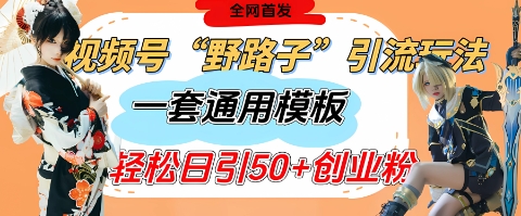 视频号“野路子”玩法，评论区疯狂截流，一套模板单日单号引流50+创业粉-润泽资源库