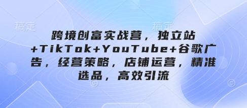 跨境创富实战营，独立站+TikTok+YouTube+谷歌广告，经营策略，店铺运营，精准选品，高效引流-润泽资源库