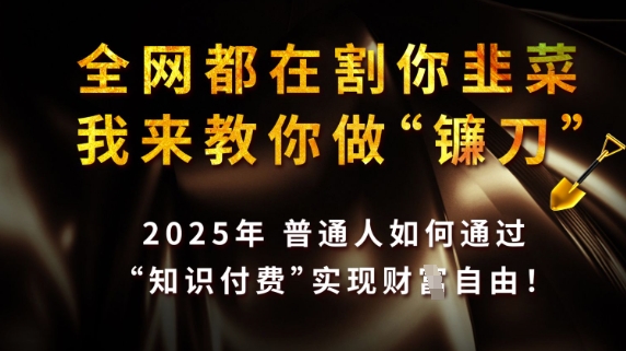 全网都在割你韭菜，我来教你做镰刀，2025普通人如何通过知识付费，实现财F自由【揭秘】-润泽资源库