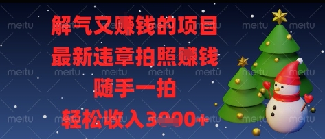 解气又挣钱的项目，最新违章拍照挣钱，随手一拍，轻松收入多张【揭秘】-润泽资源库