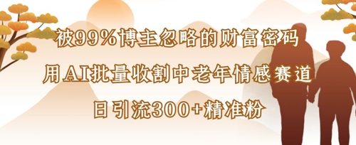被99%博主忽略的财富密码：用AI批量收割中老年情感赛道，日引流300+精准粉-润泽资源库