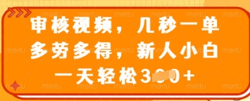 审核视频，几秒一单，多劳多得，新人小白一天轻松3张【揭秘】-润泽资源库