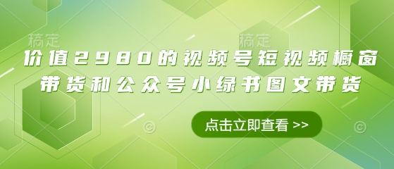 价值2980的视频号短视频橱窗带货和公众号小绿书图文带货-润泽资源库