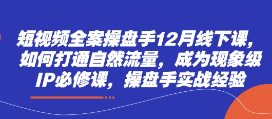 短视频全案操盘手12月线下课，如何打通自然流量，成为现象级IP必修课，操盘手实战经验-润泽资源库