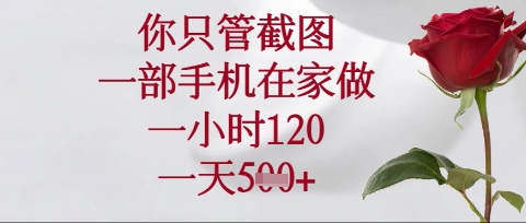 你只管截图，一部手机在家操作，一小时120.一天5张【揭秘】-润泽资源库