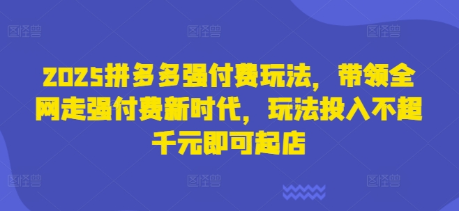 2025拼多多强付费玩法，带领全网走强付费新时代，玩法投入不超千元即可起店-润泽资源库