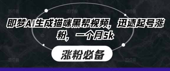 即梦AI生成猫咪黑帮视频，迅速起号涨粉，一个月5k-润泽资源库