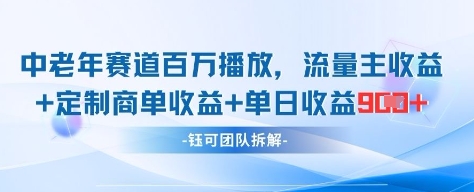 中老年赛道百万播放+流量主收益+定制收益，单日收益9张-润泽资源库