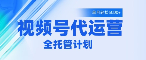 视频号代运营2.0，全程托管招募，单月轻松变现5k【揭秘】-润泽资源库