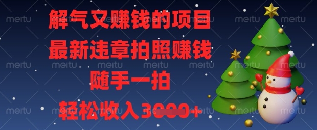 解气又挣钱的项目，最新违章拍照挣钱，随手一拍，轻松收入数张【揭秘】-润泽资源库