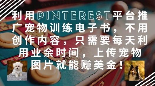 利用Pinterest平台推广宠物训练电子书，不用创作内容，只需要每天利用业余时间，上传宠物图片就能挣美金!-润泽资源库