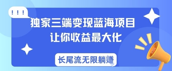 独家三端变现蓝海项目，让你收益最大化，长尾流无限躺挣-润泽资源库