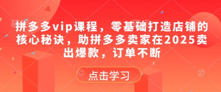 拼多多vip课程，零基础打造店铺的核心秘诀，助拼多多卖家在2025卖出爆款，订单不断-润泽资源库