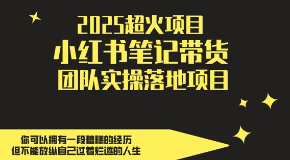 2025超火项目，副业最佳选择，小红书笔记带货团队实操落地项目，，轻松日入5张-润泽资源库