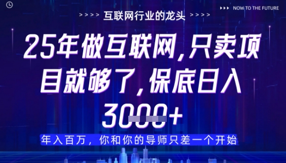 什么！25年你还在找项目做？风口早就变了，卖项目才是稳挣不赔【揭秘】-润泽资源库