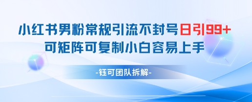 小红书男粉常规引流不封号日引99+变现简单 可矩阵可复制小白容易上手-润泽资源库