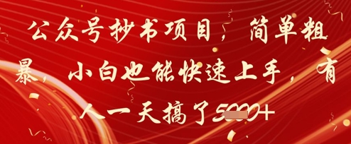 公众号抄书项目，简单粗暴，小白也能快速上手，有人一天搞了1k+-润泽资源库