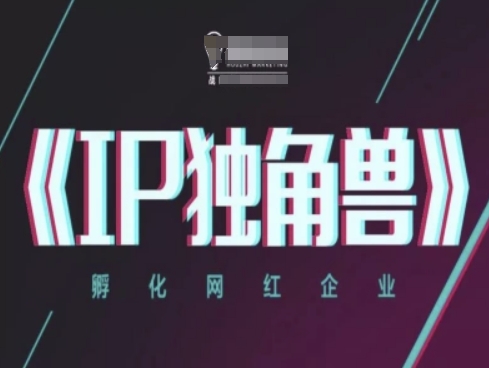 IP独角兽，孵化网红企业，ip教程-润泽资源库