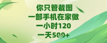你只管截图，一部手机在家做，苹果安卓都可以，一天5张+【揭秘】-润泽资源库