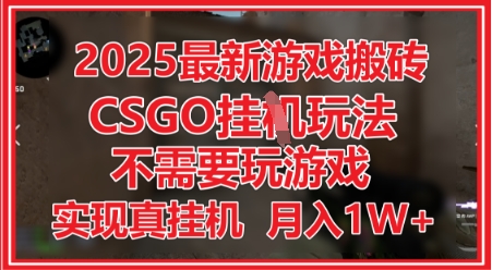2025最新游戏搬砖，CSGO挂G，不需要玩游戏，实现真挂G，月入1W+【揭秘】-润泽资源库