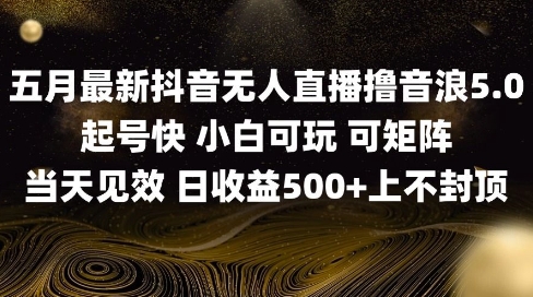 2025五月最新无人直播撸音浪单日产出5张+实操教程【揭秘】-润泽资源库