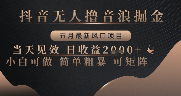 抖音无人撸音浪掘金，五月最新风口项目，当天见效，日收益多张，小白可做简单粗暴可矩阵【揭秘】-润泽资源库