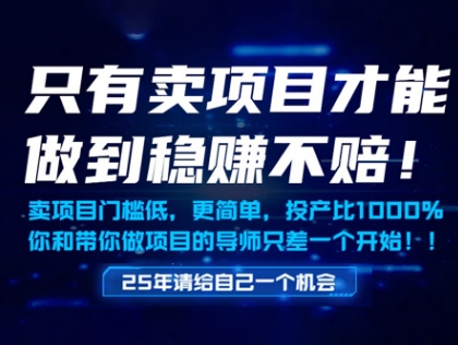 只有卖项目才能做到稳挣不赔，门槛低，更简单，你也可以年入百个W【揭秘】-润泽资源库