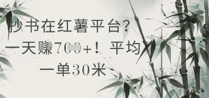 抄书在小红薯平台？平均一单30米，一天收益几张！-润泽资源库