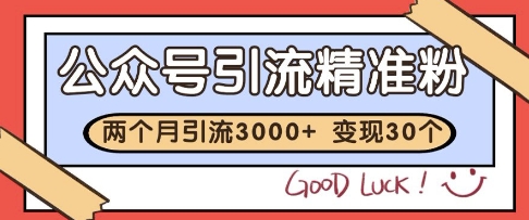 公众号精准粉引流玩法，2个月3000+精准粉，变现30个W【揭秘】-润泽资源库
