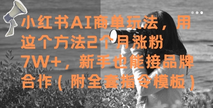 小红书AI商单玩法，用这个方法2个月涨粉7W+，新手也能接品牌合作(附全套指令模板)-润泽资源库