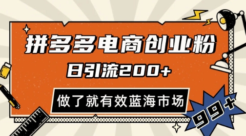 拼多多引流电商创业粉，日引200+，可矩阵放大，做了就有效【揭秘】-润泽资源库